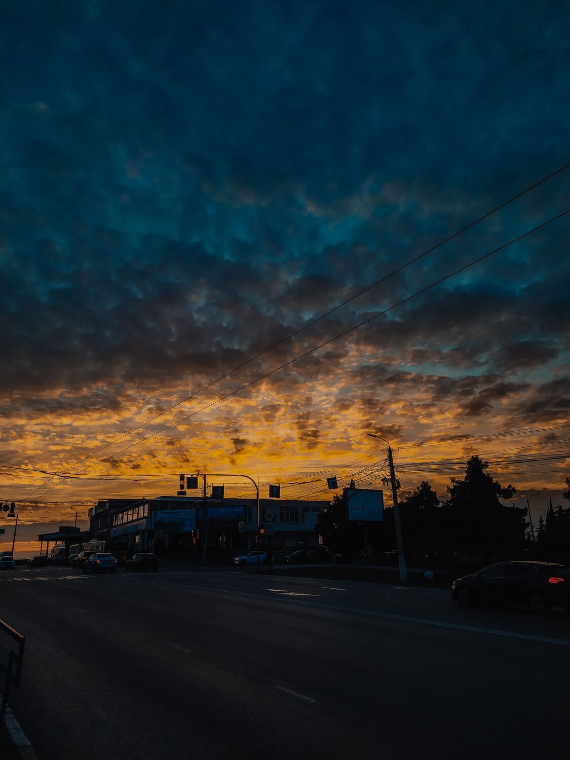 Photo #13764791