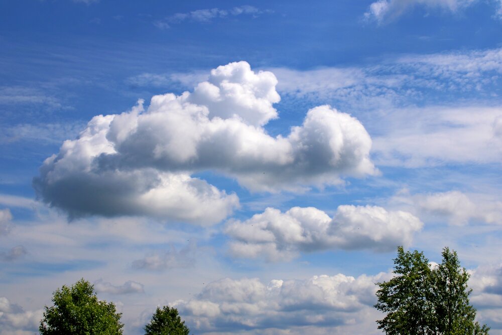 Photograph by Olga Bagaeva