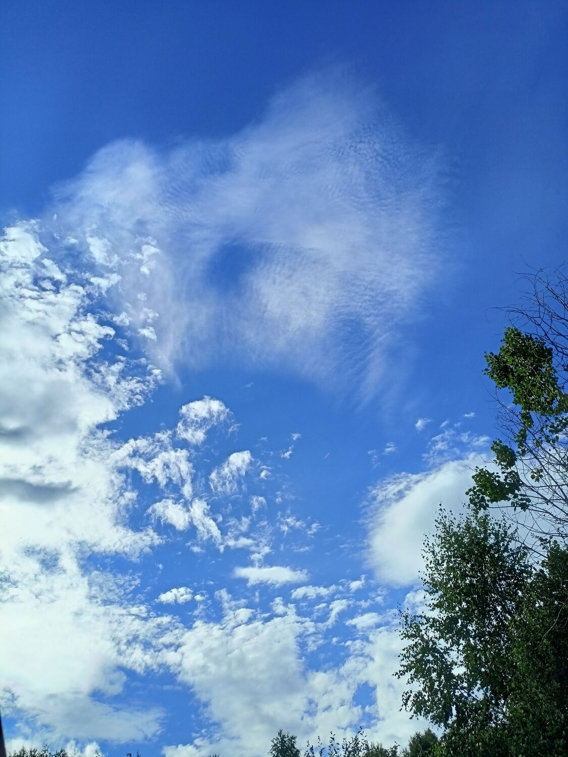 Photo #13764848