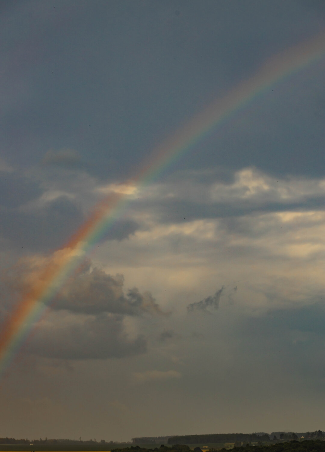 Photo #13764872