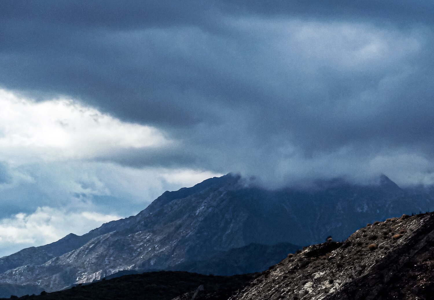 Photo #13764966