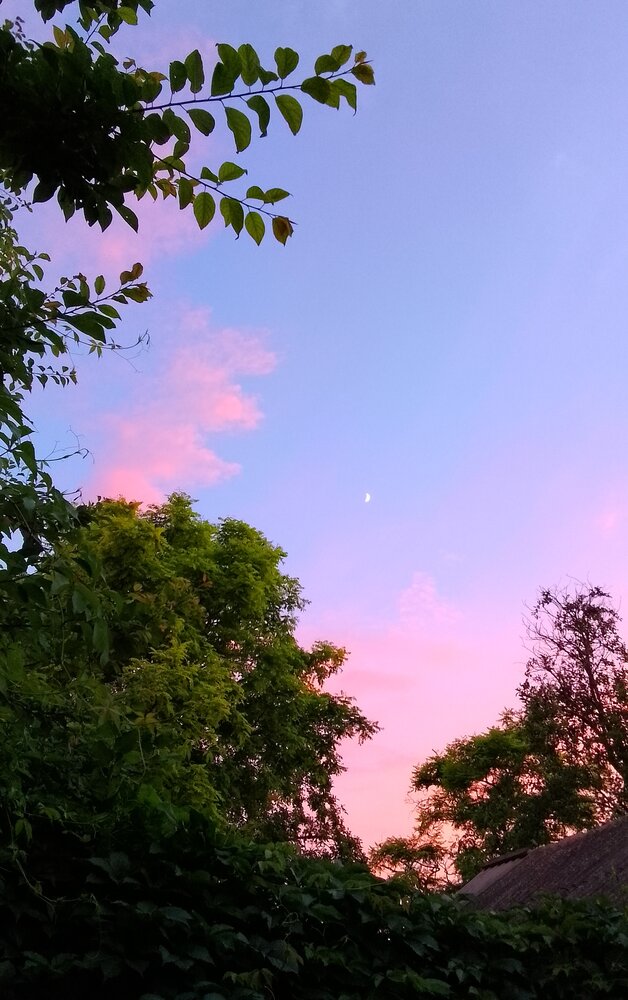 Photograph by Ксения Звонникова