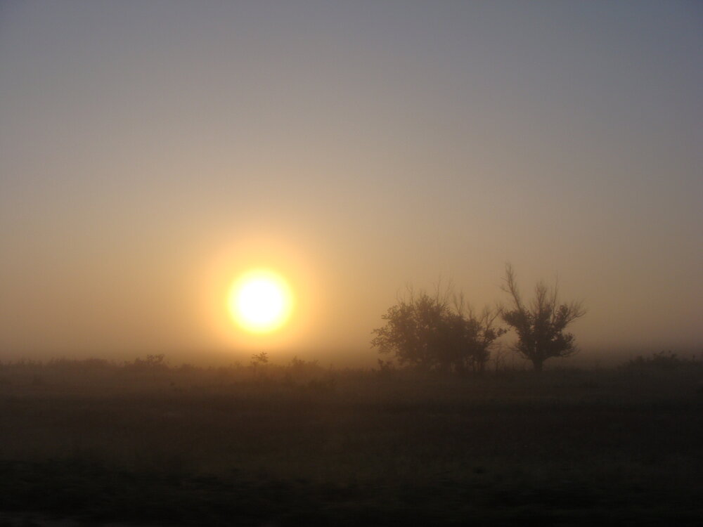 Photograph by Ксения Звонникова