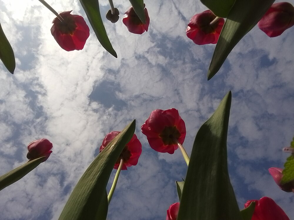 Photograph by Ксения Звонникова