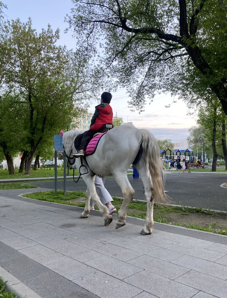 Фотография автора Наталья Мартынова