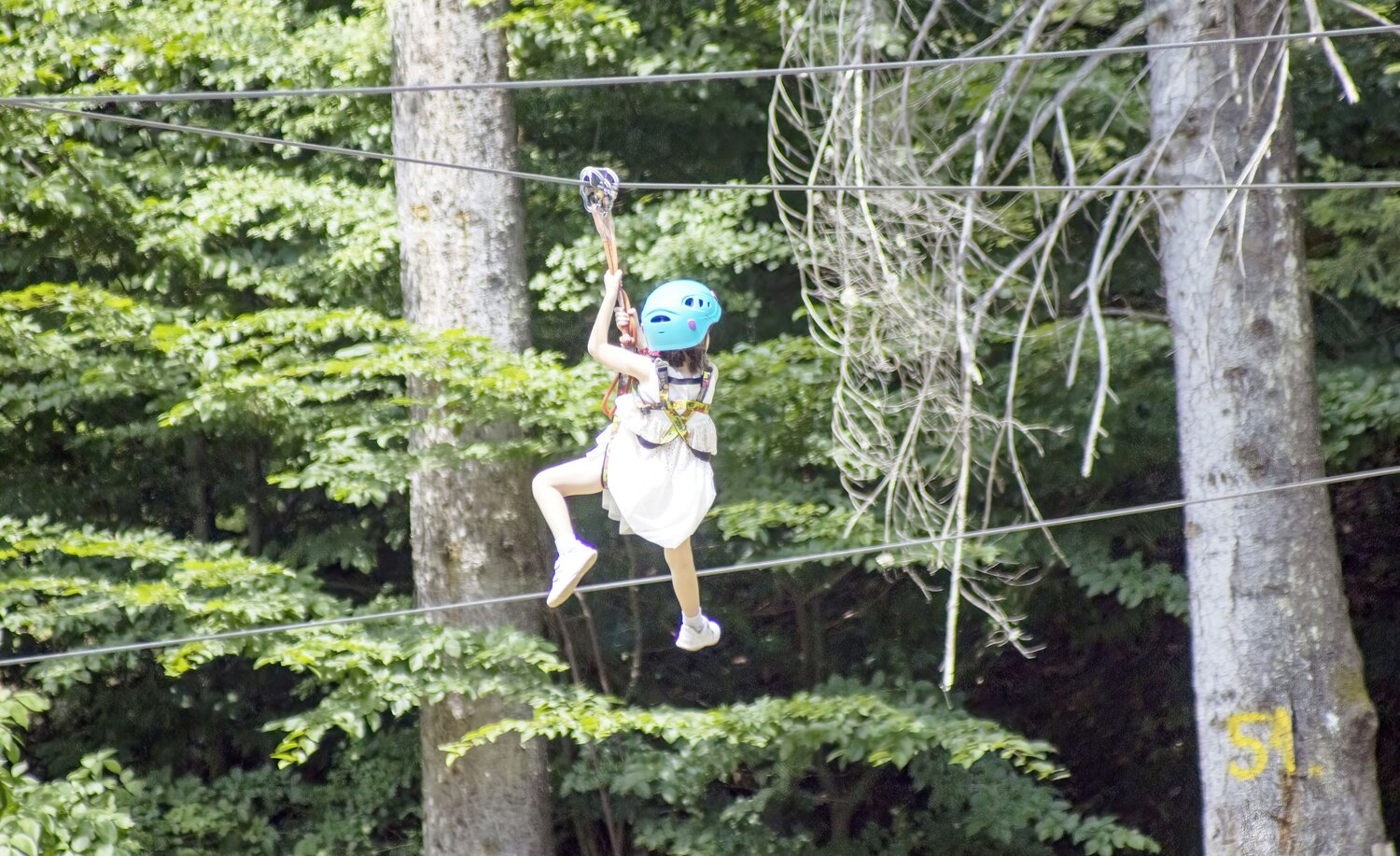Photo #13765171