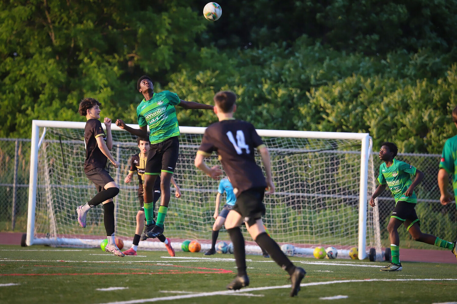 Photo #13765199
