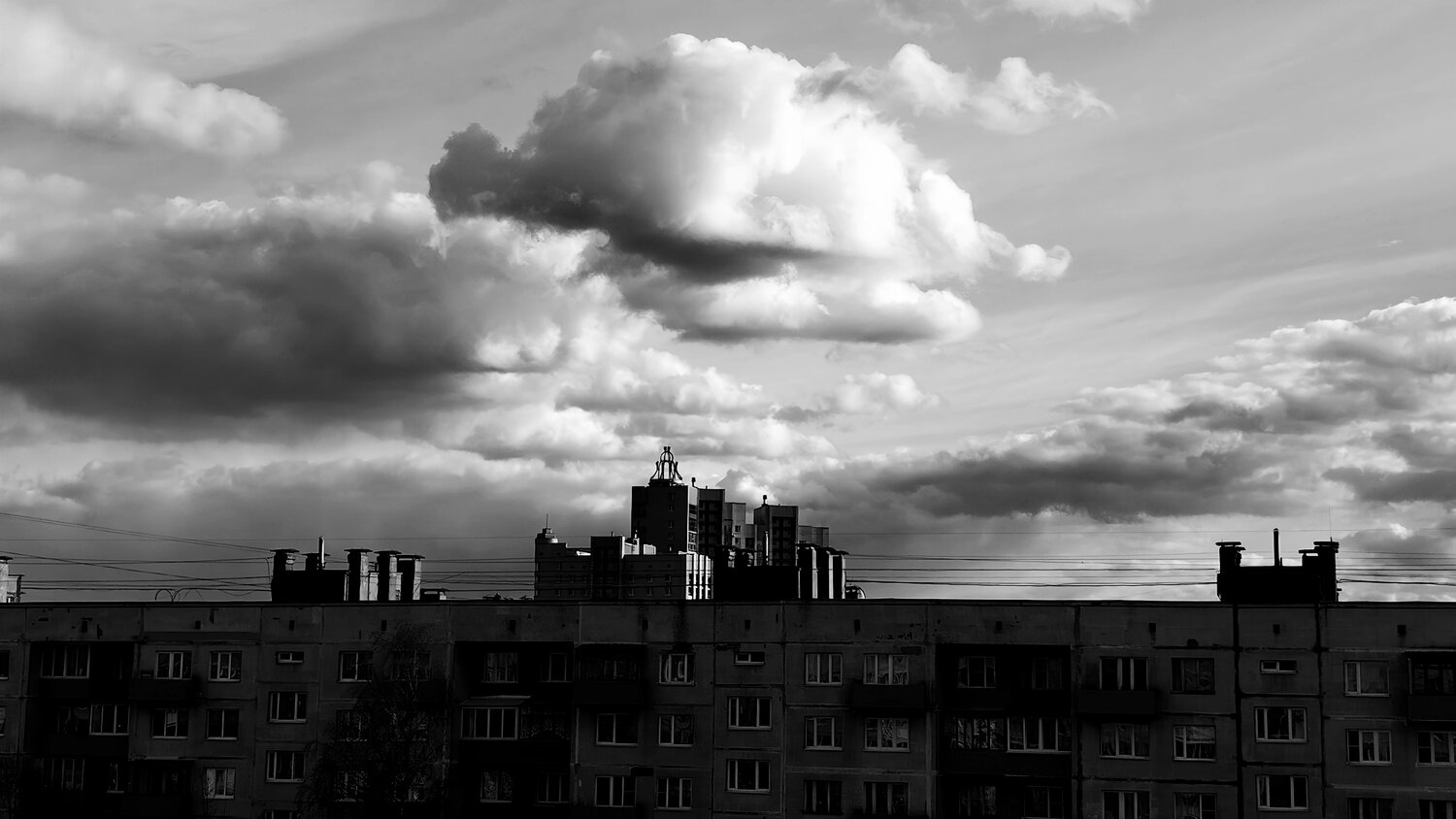Photo #13765270