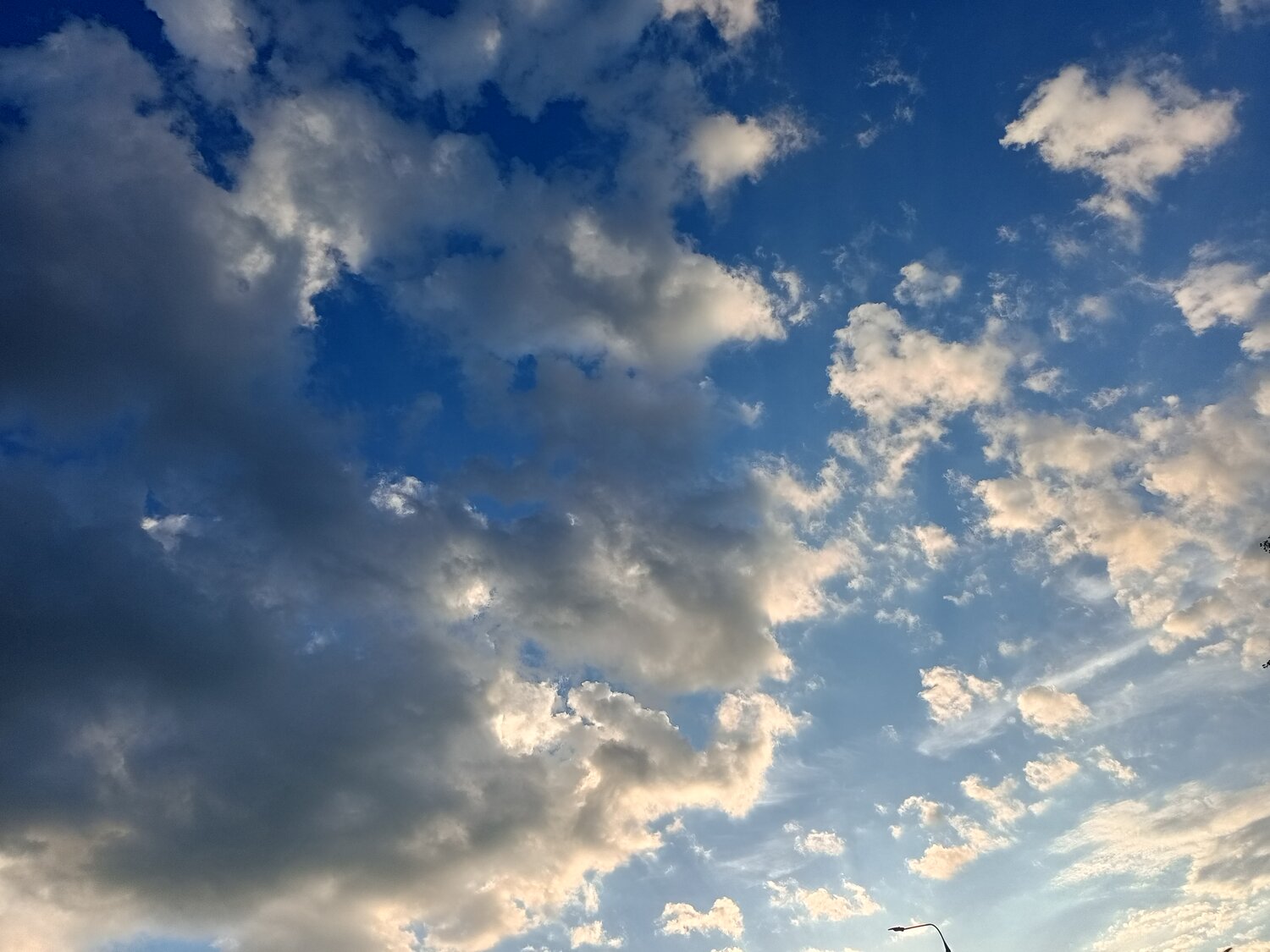 Photo #13765274