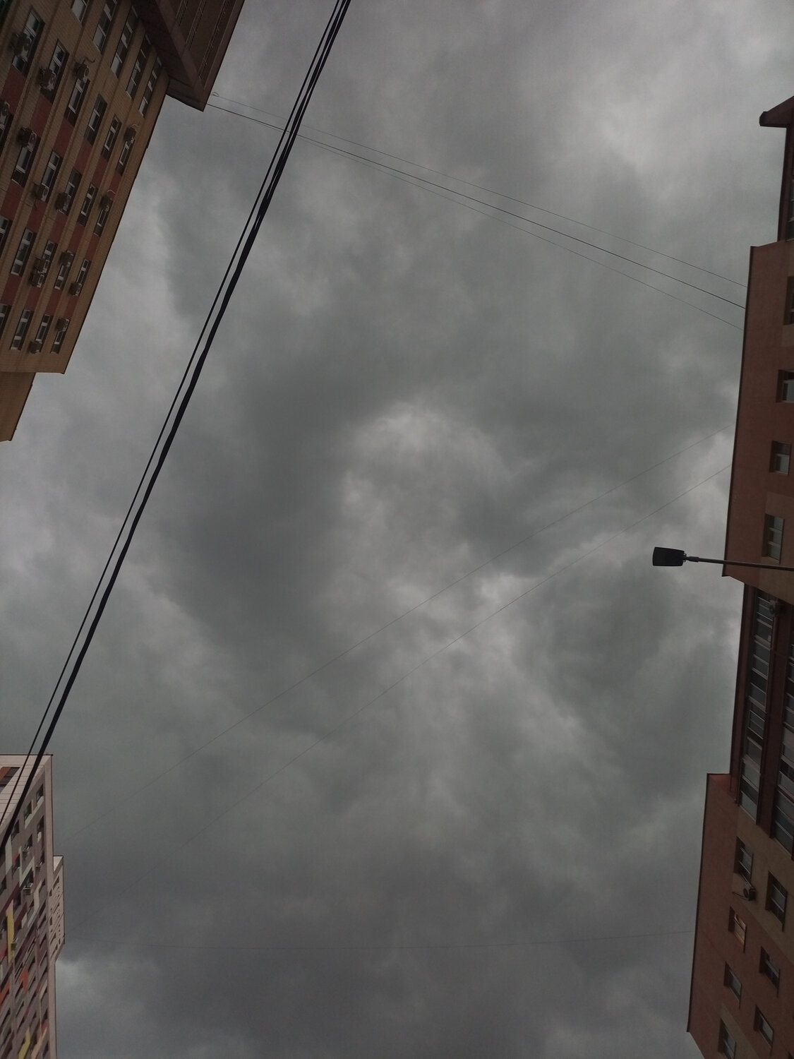 Photo #13765278