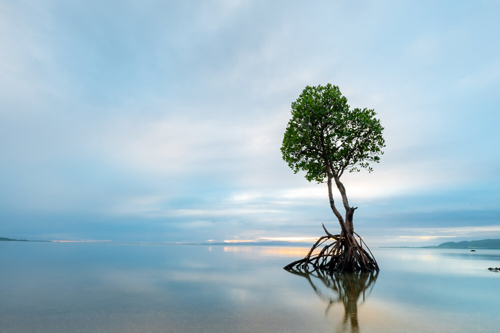 Photograph by nishijima takayuki