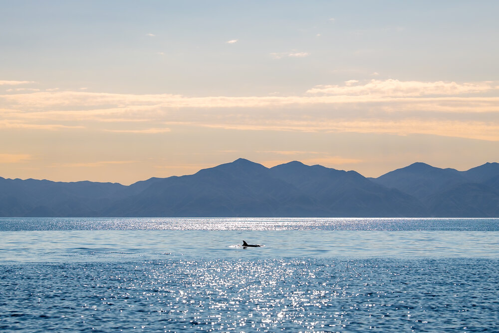 Photograph by nishijima takayuki