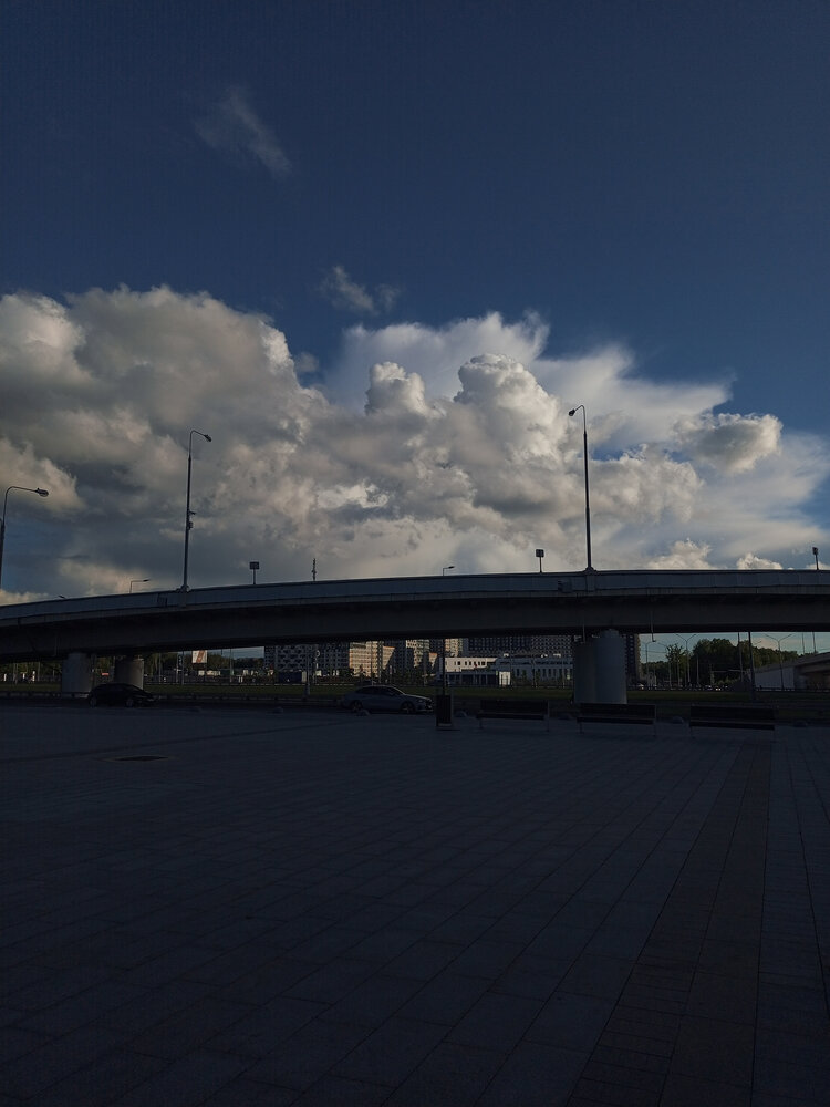 Photo #13765291
