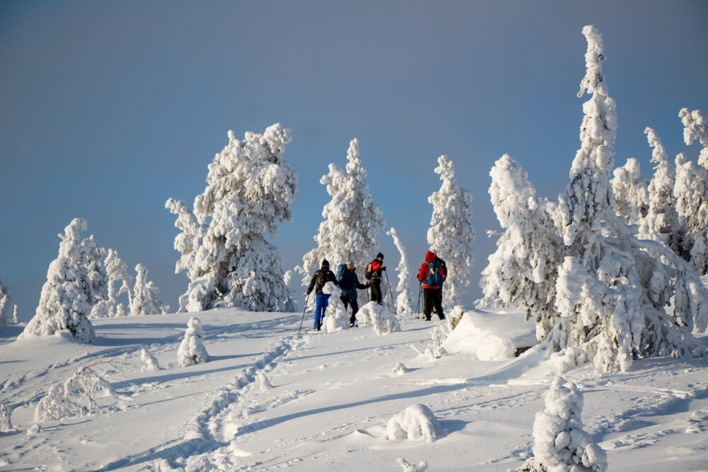 Photograph by Вадим Городницкий