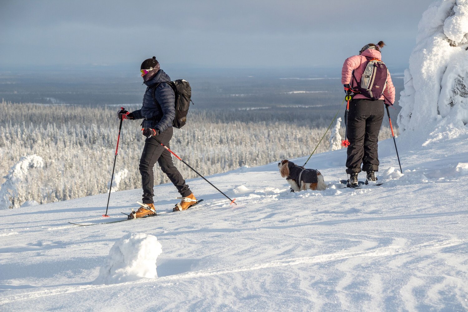 Photo #13765313