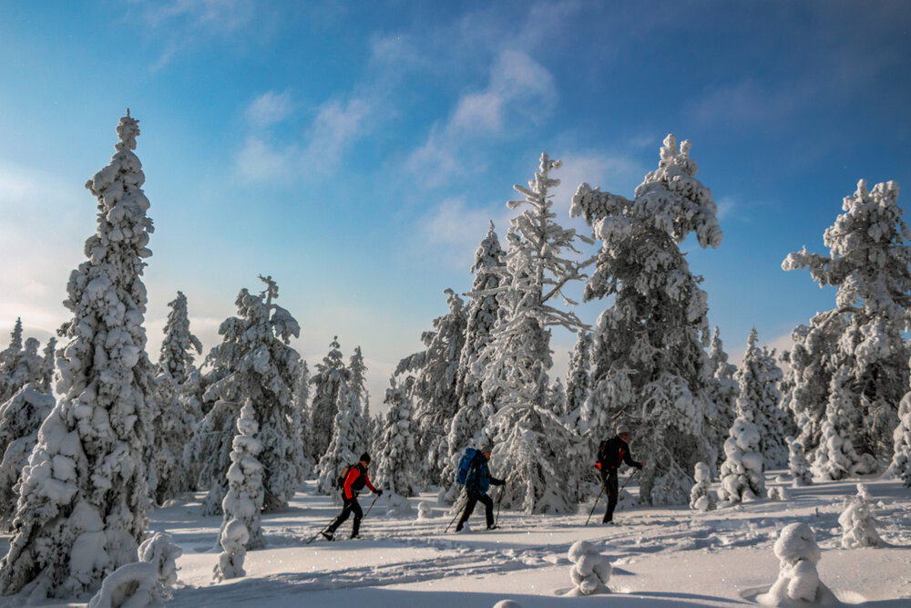 Photograph by Вадим Городницкий