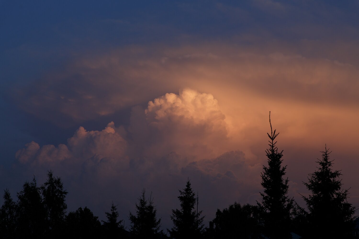 Photo #13765315