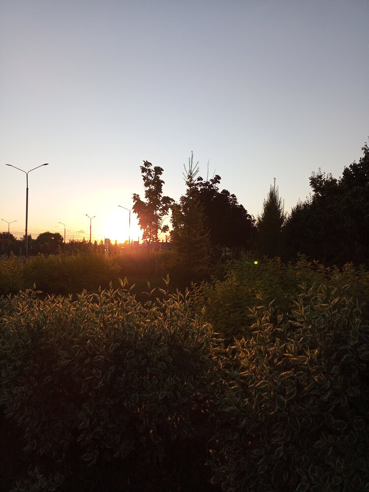 Photo #13765321