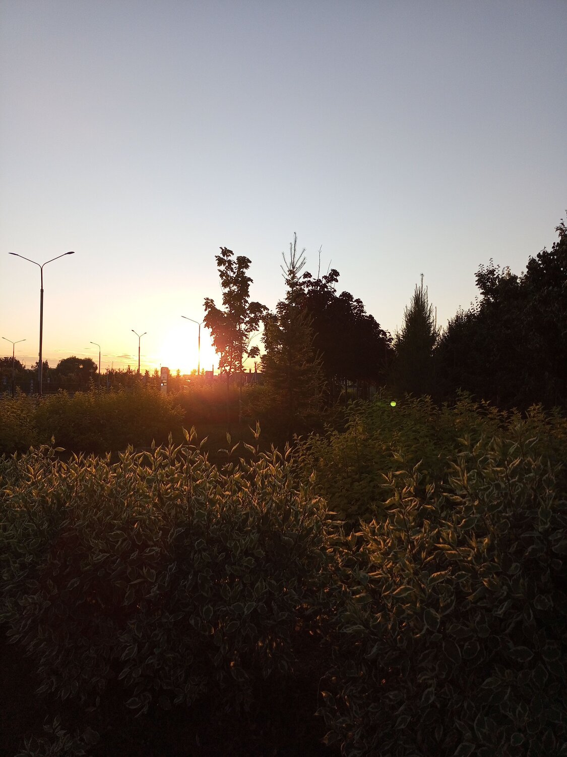 Photo #13765321