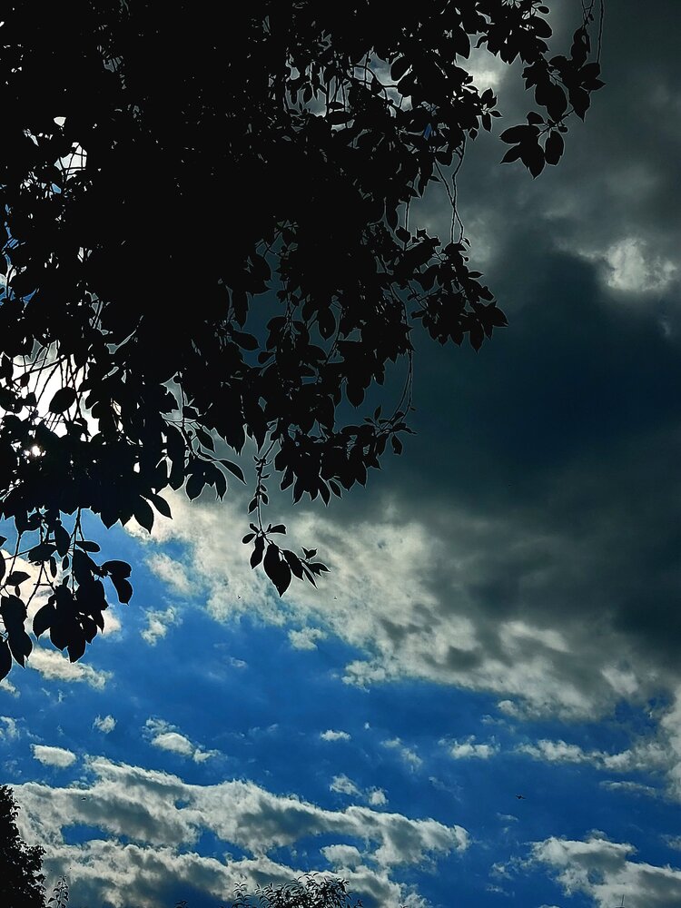 Photograph by Natali Crys