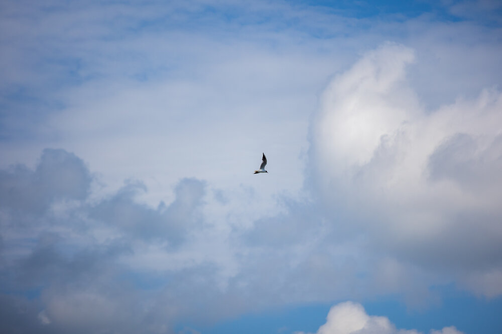 Photograph by Кемеров Игорь