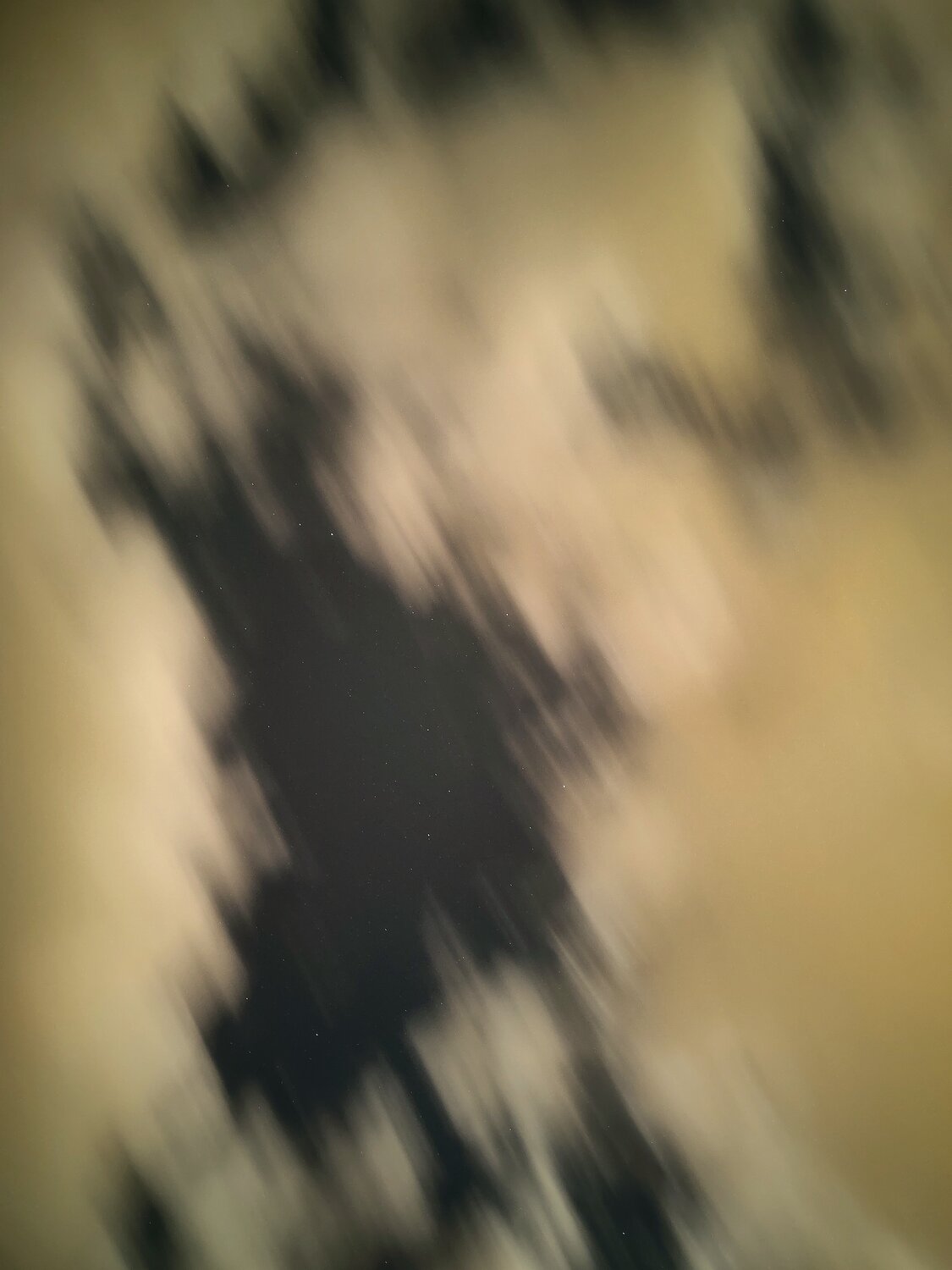 Photo #13765539