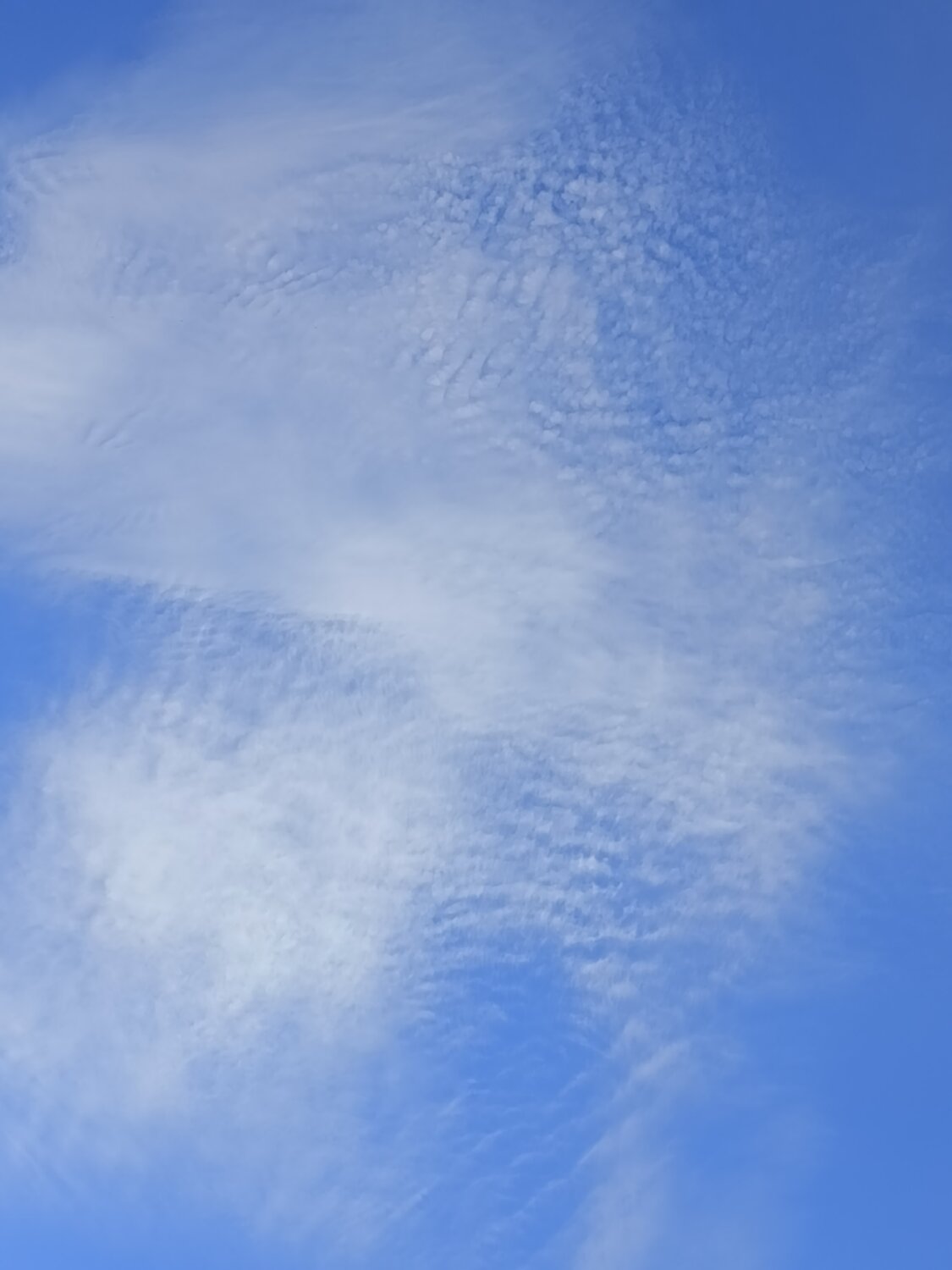Photo #13765544