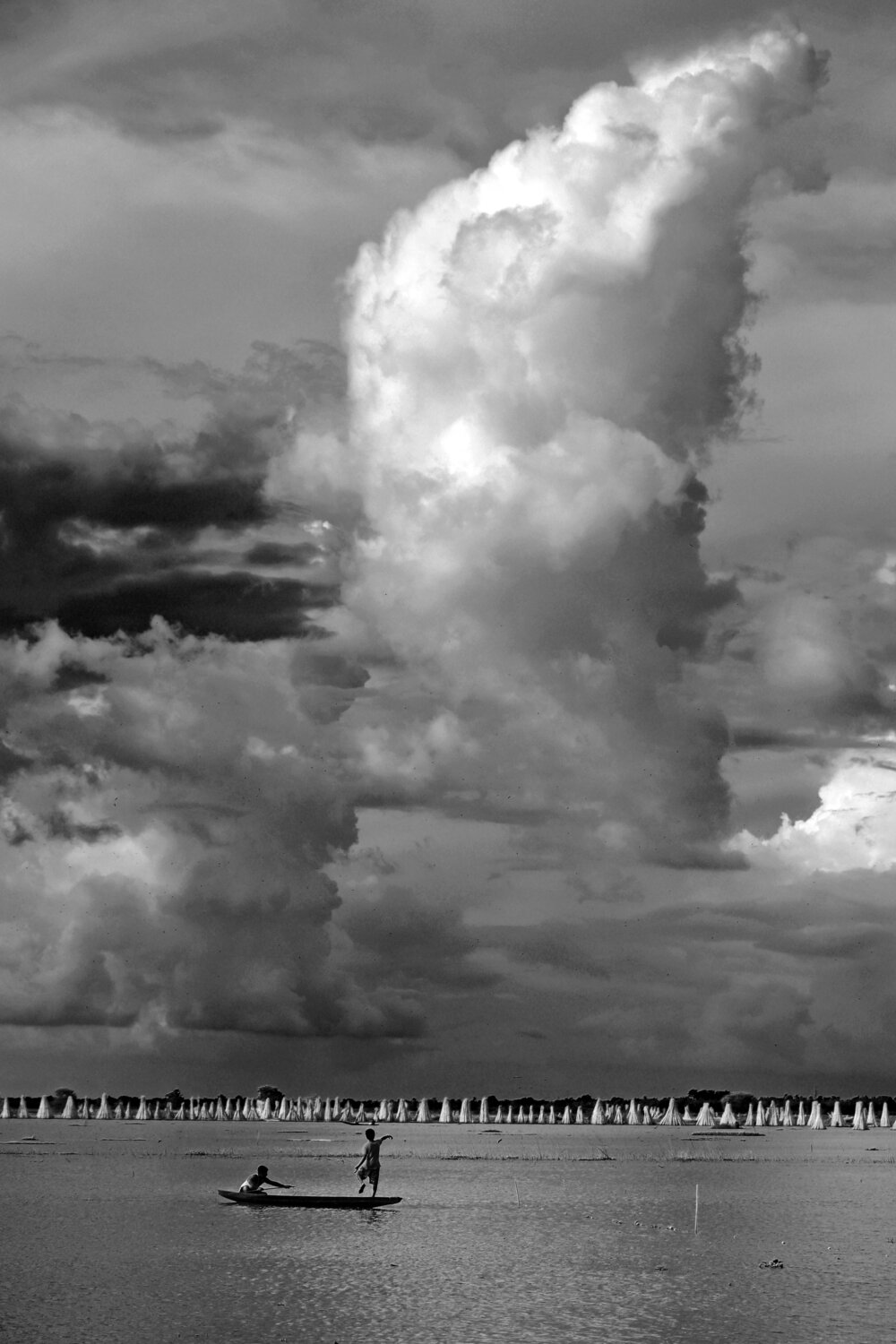 Photo #13765561