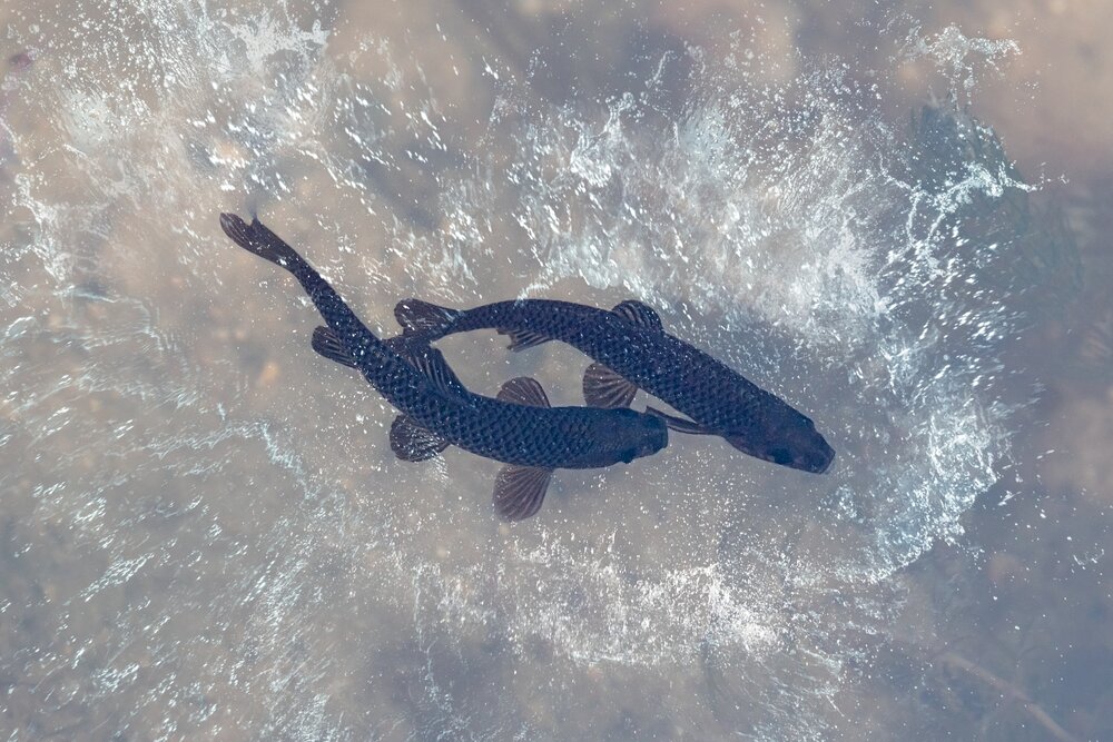 Photograph by Kveta Novotna