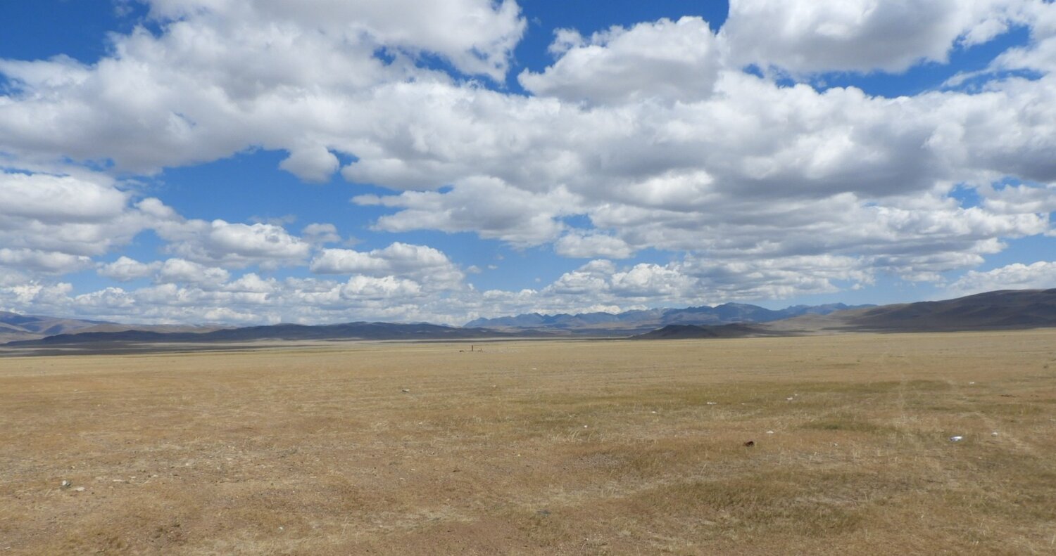 Photo #13765606