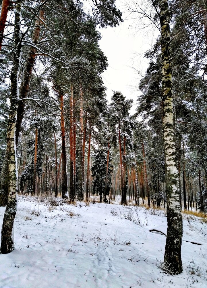 Photograph by Елена Эйнова