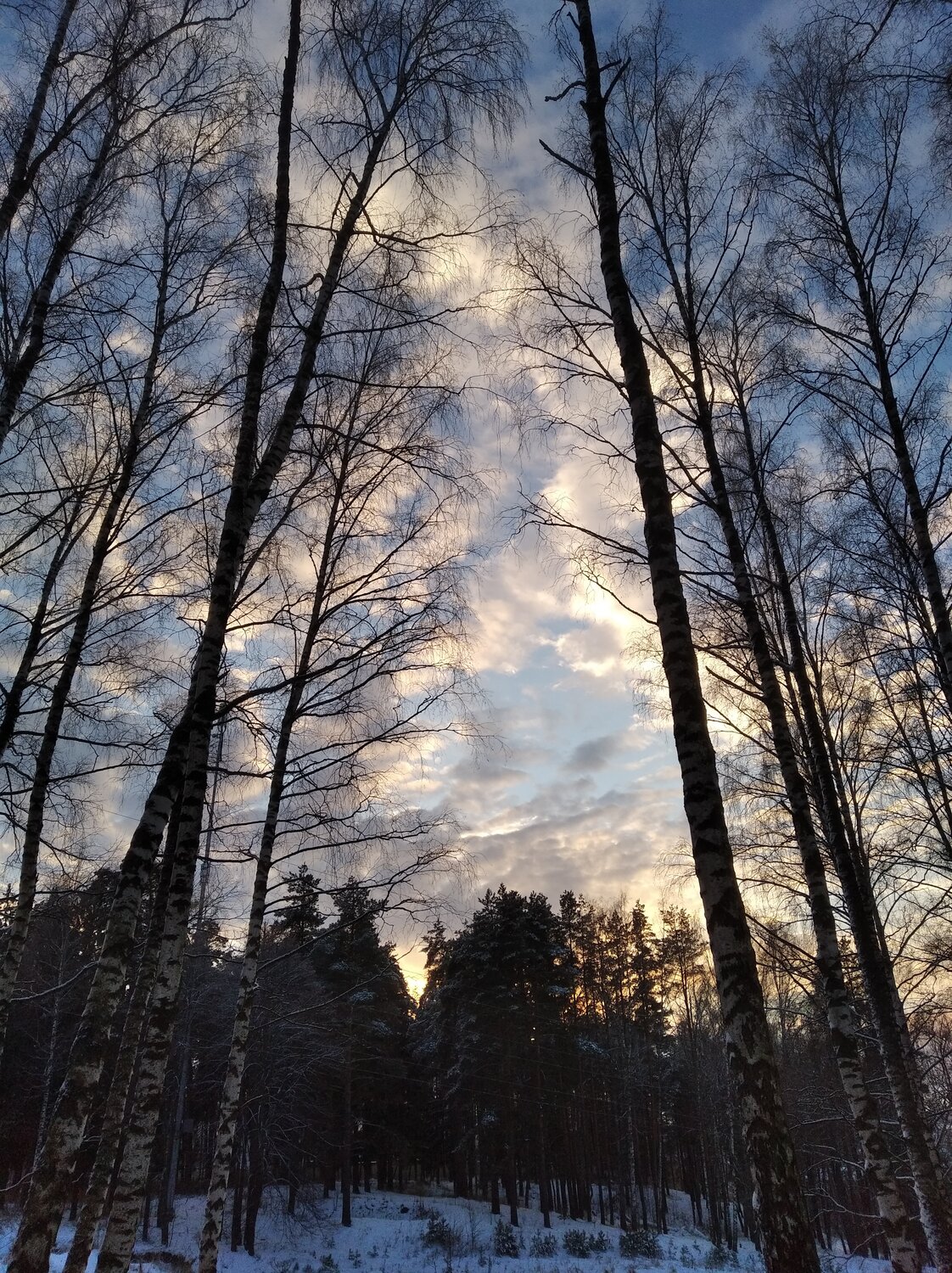 Photo #13765659