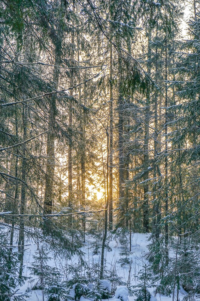 Photograph by Иван Жуков