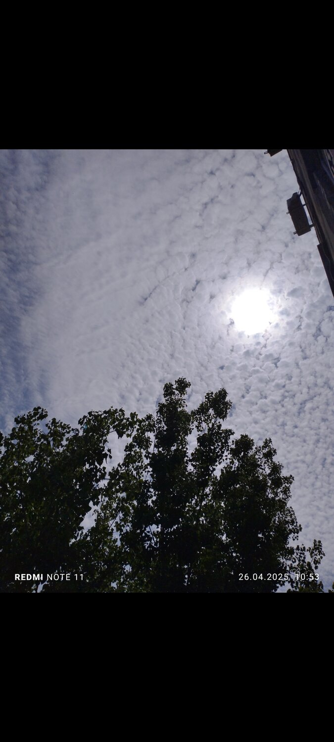 Photo #13765672