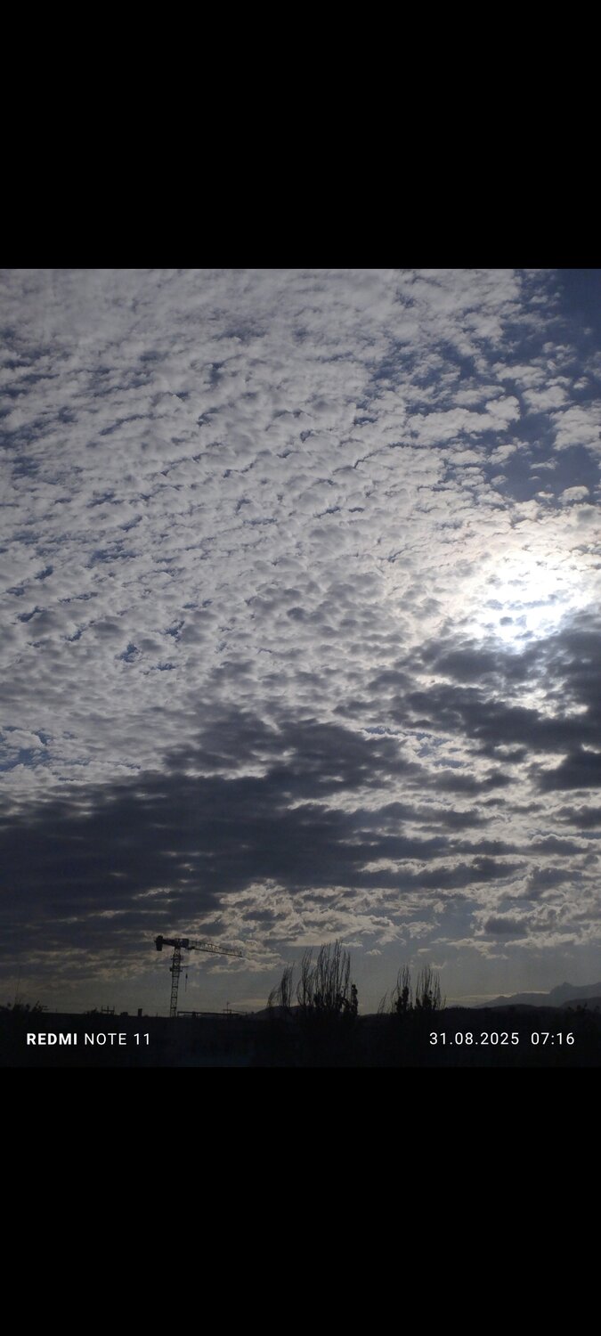 Photo #13765673