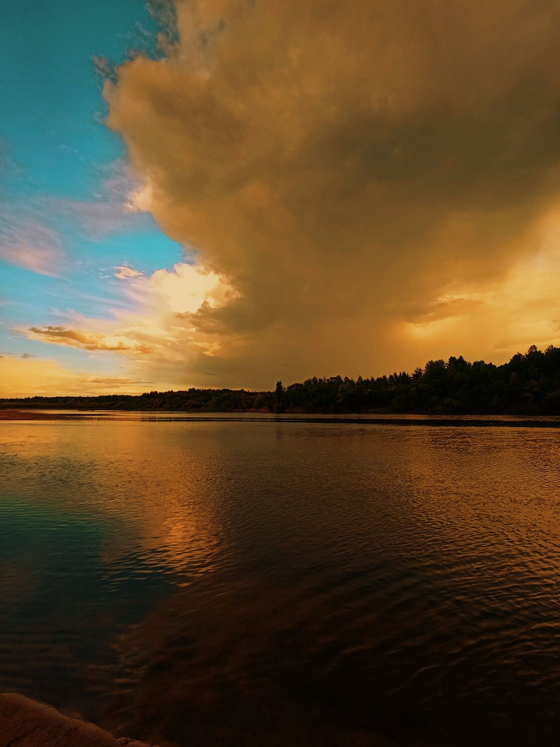 Photo #13765676