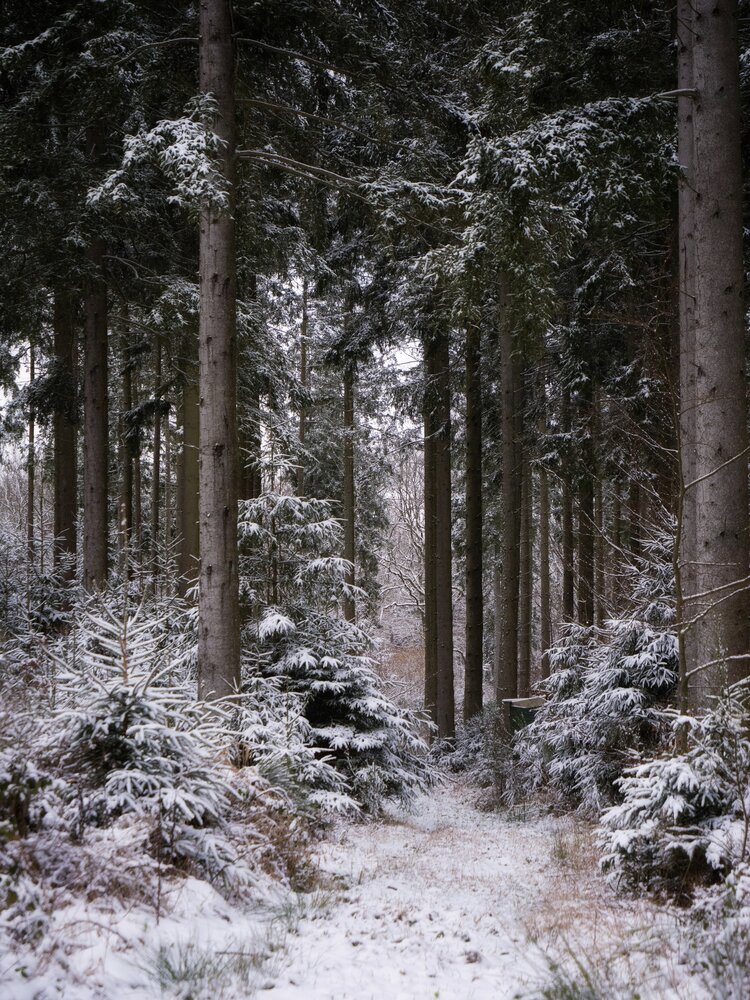 Photograph by Olga Schmidt