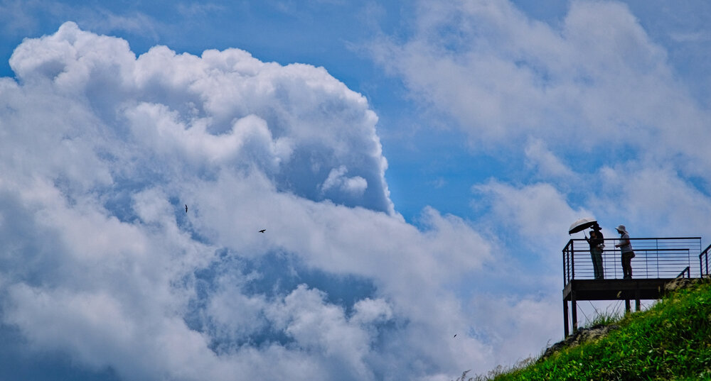 Under the Same Sky