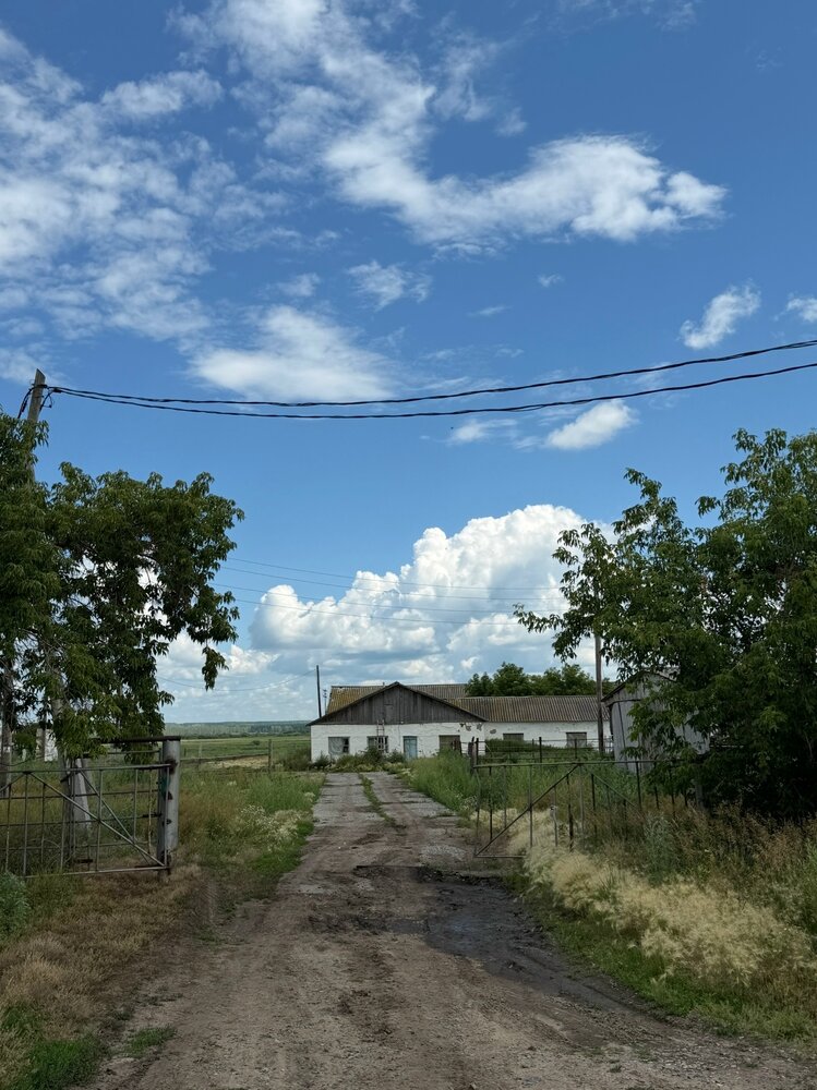 Фотография автора Николай Горбачёв