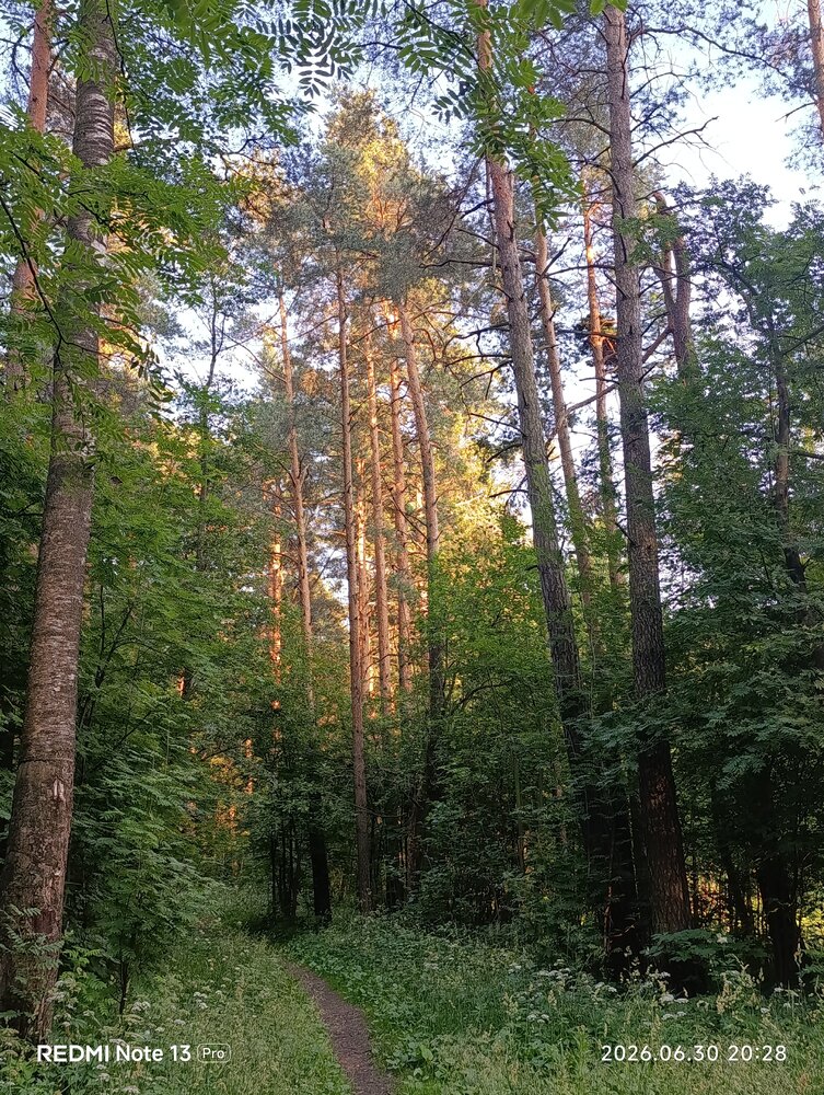 Фотография автора Юлия Чешко