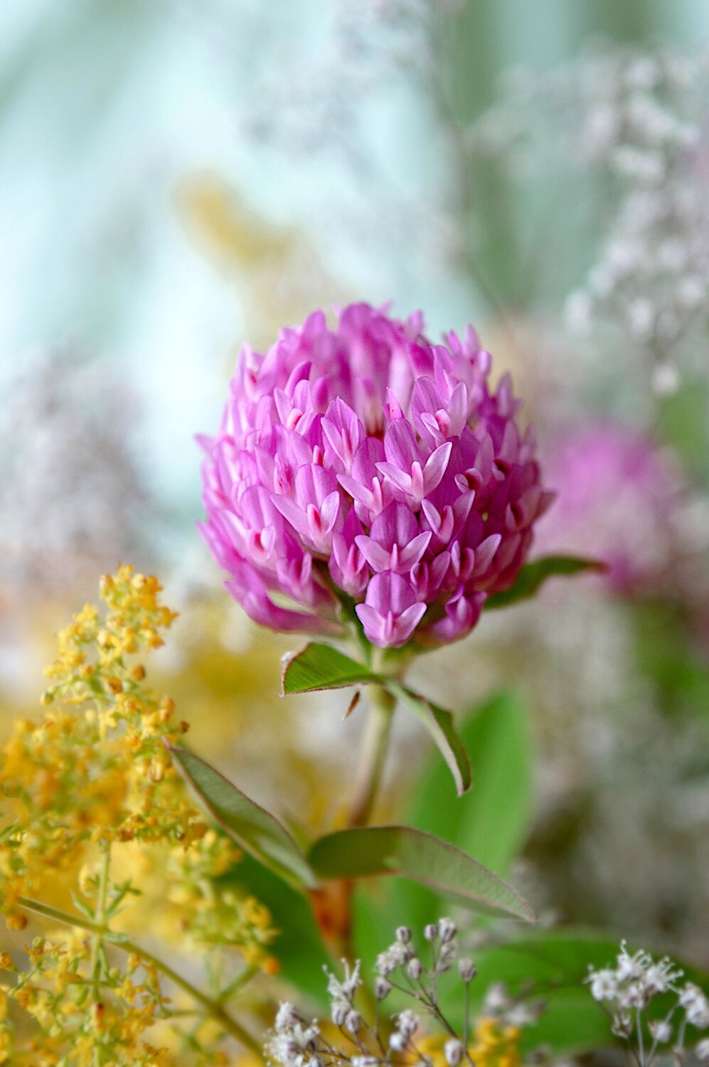 Photo #13765742