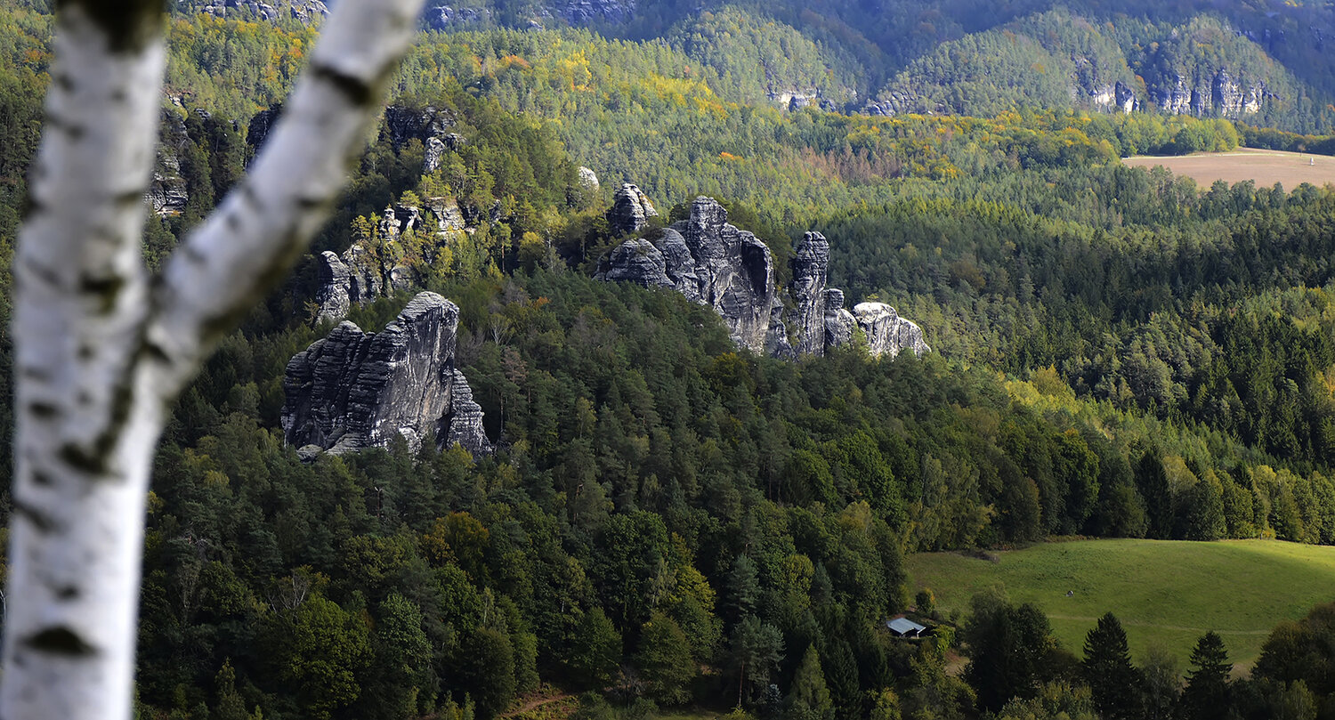 Photo #13765768