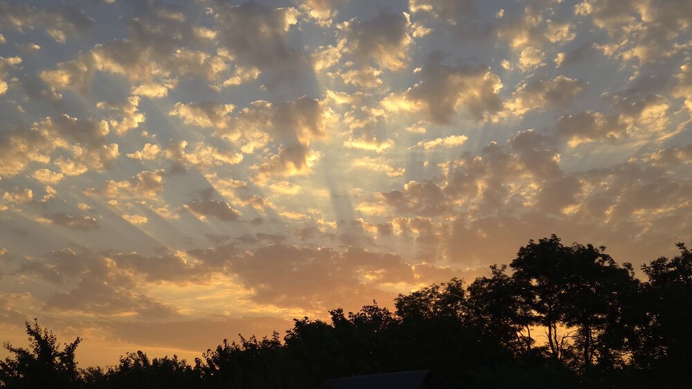 Photo #13765786