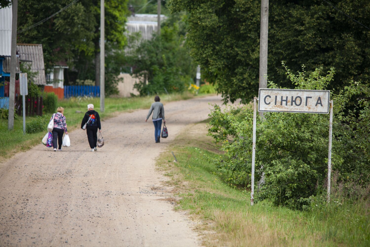 Photo #13765792