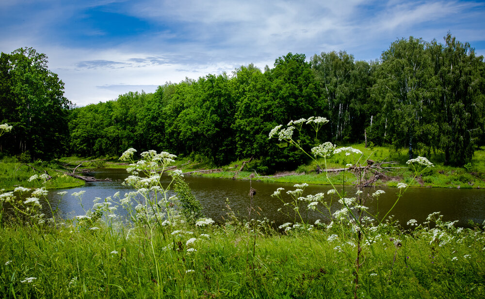Photograph by Владимир Говоров