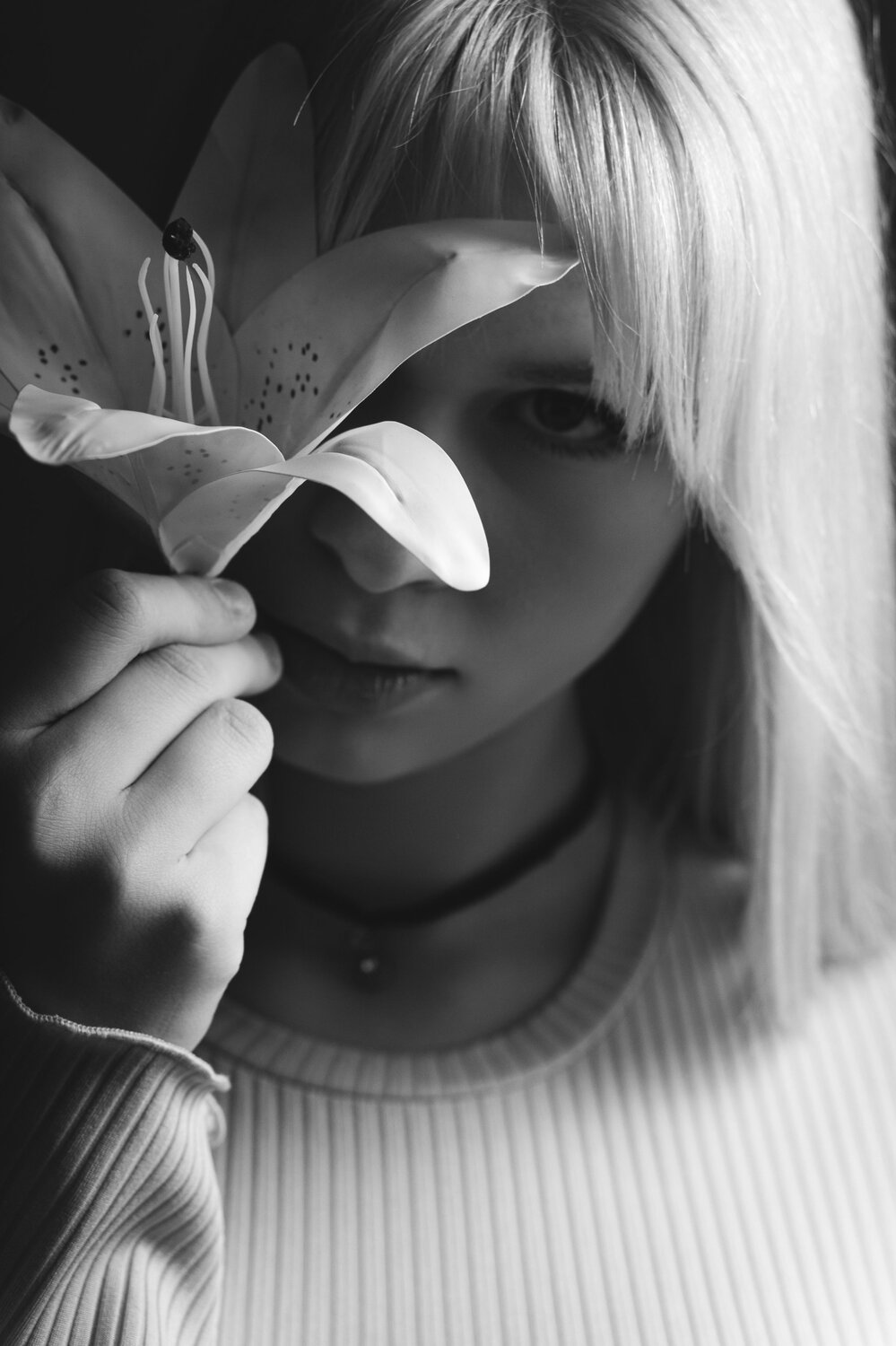 Photo #13765825