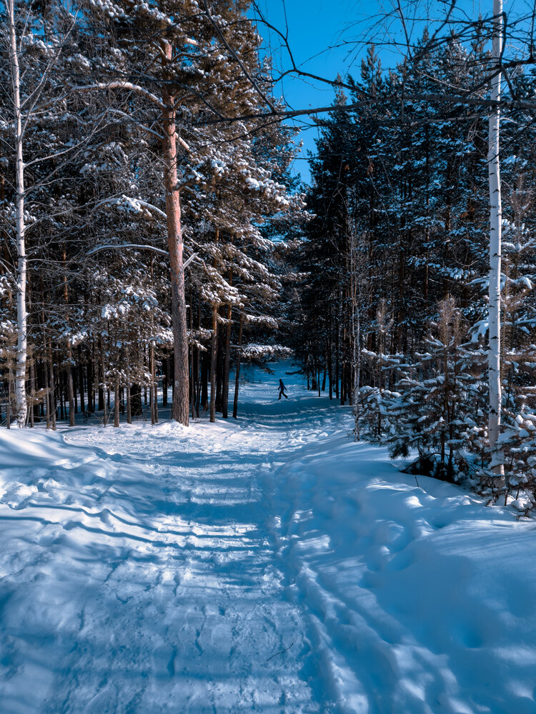 Photograph by Константин Шипицын