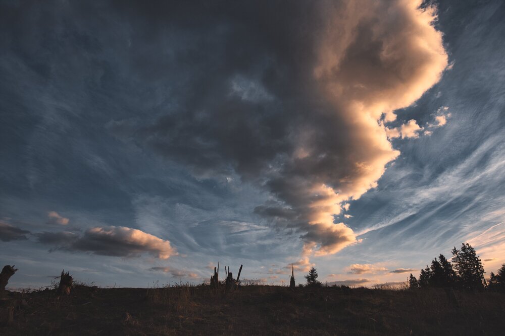 Photograph by Roman Adamjak
