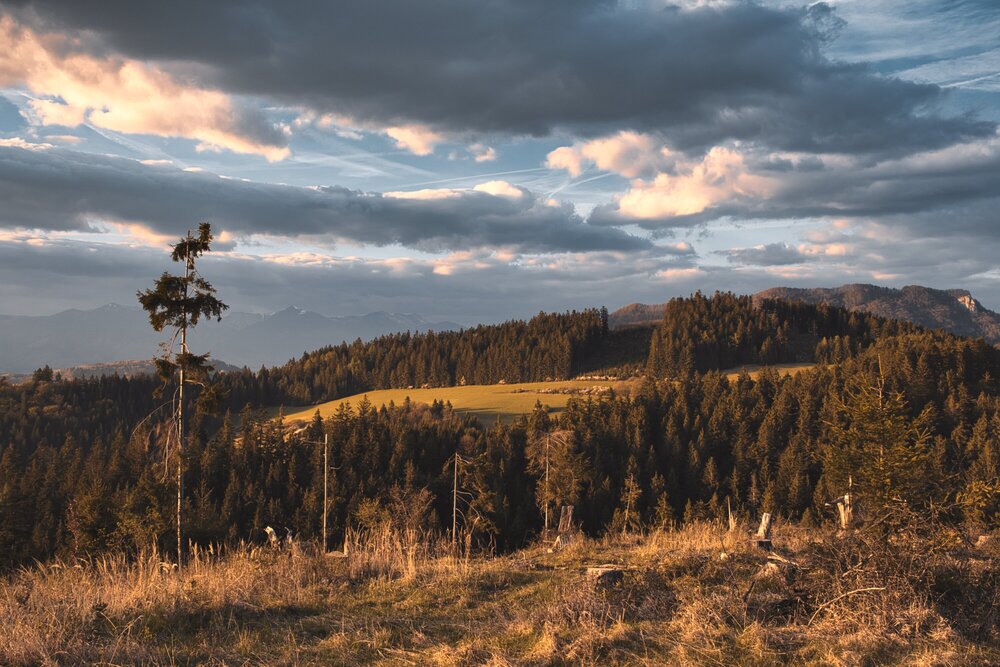 Photograph by Roman Adamjak