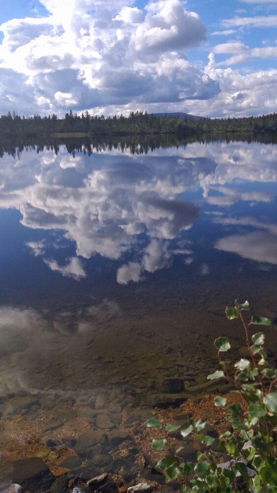Photograph by Ирина Белозерцева